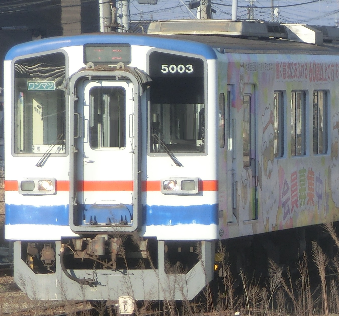 Knto5003-5.jpg