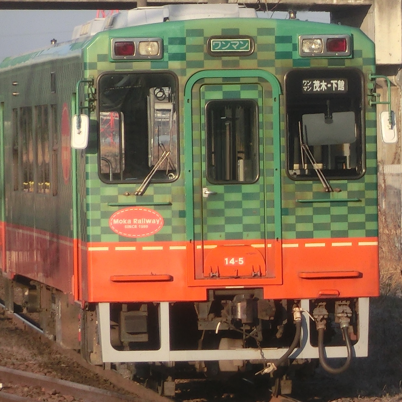 Mooka145-2.jpg