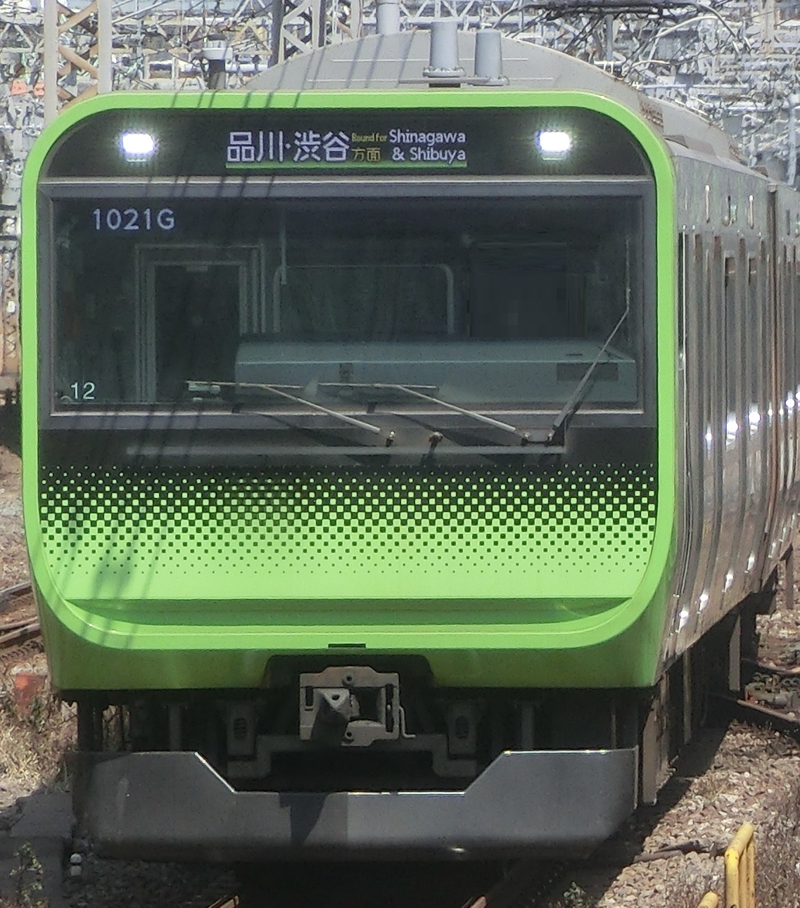 E235-To12-4.jpg