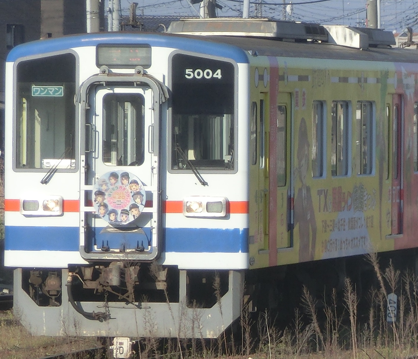 Knto5004-5.jpg