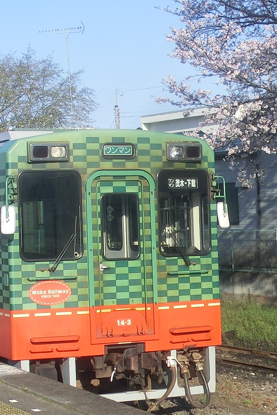 Mooka143-3.jpg