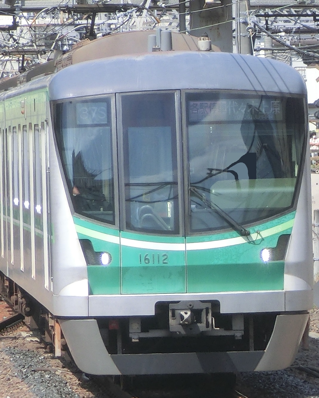 tms16112.jpg