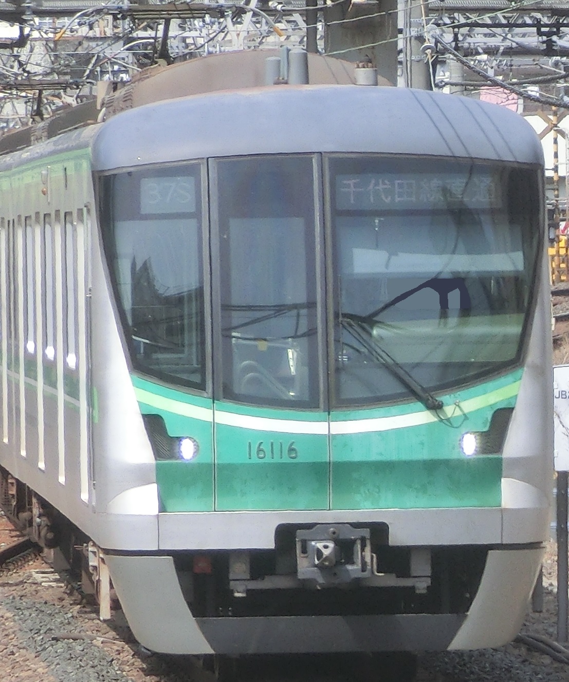 tms16116.jpg