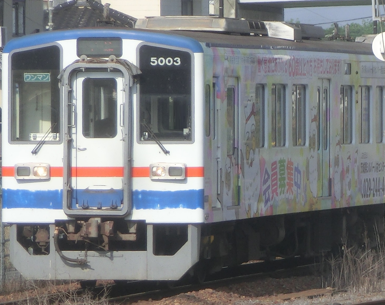 Knto5003-6.jpg