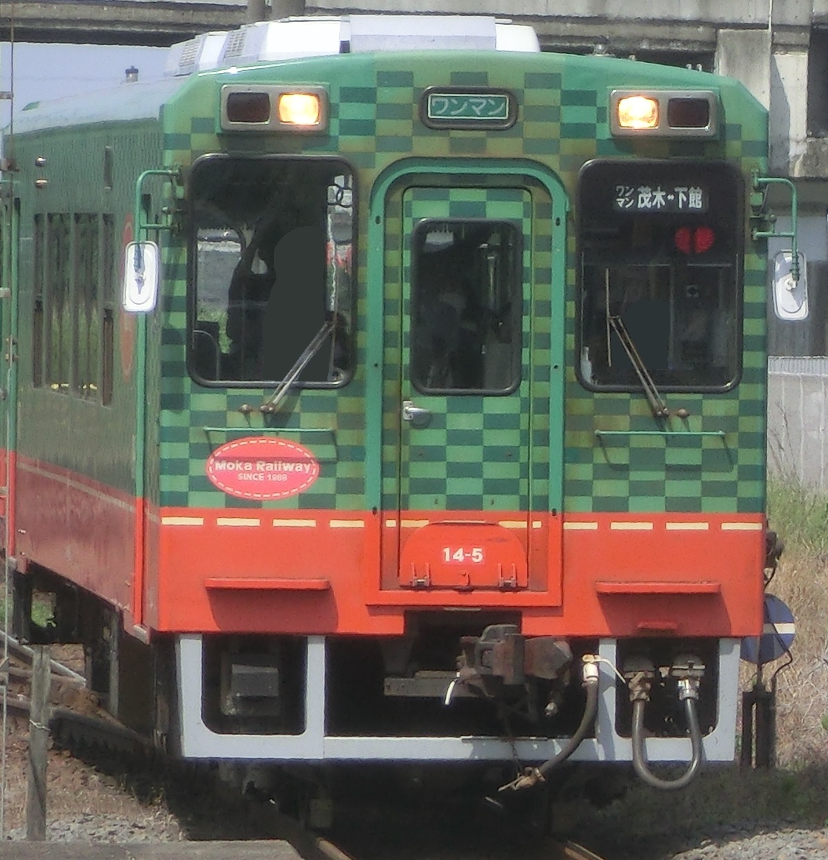 Mooka145-3.jpg