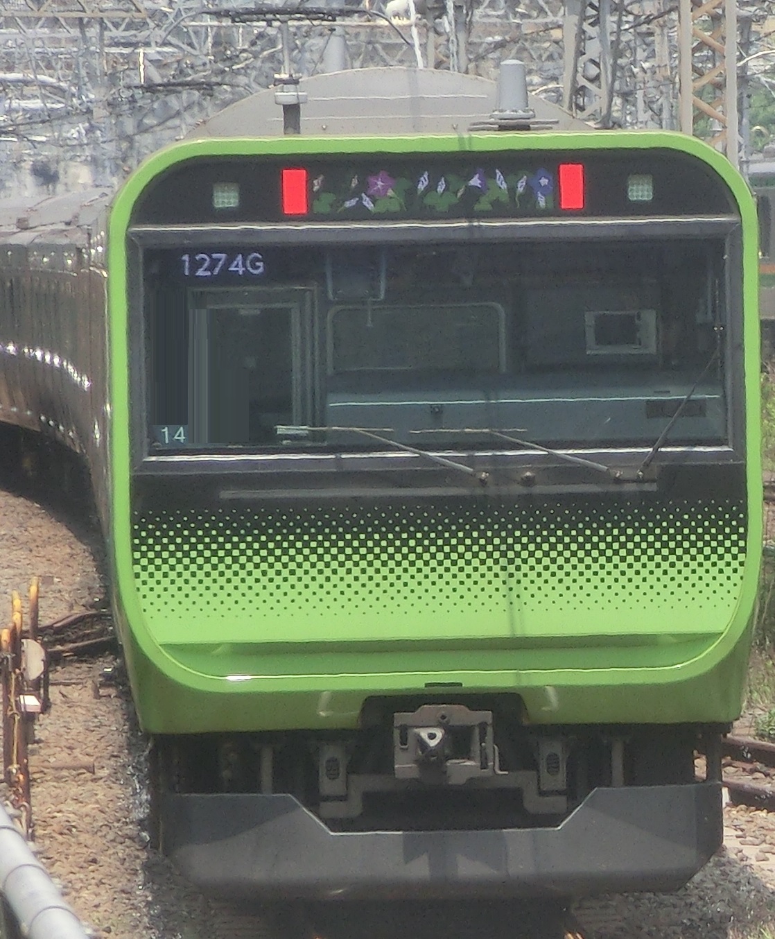 E235-To14-3.jpg