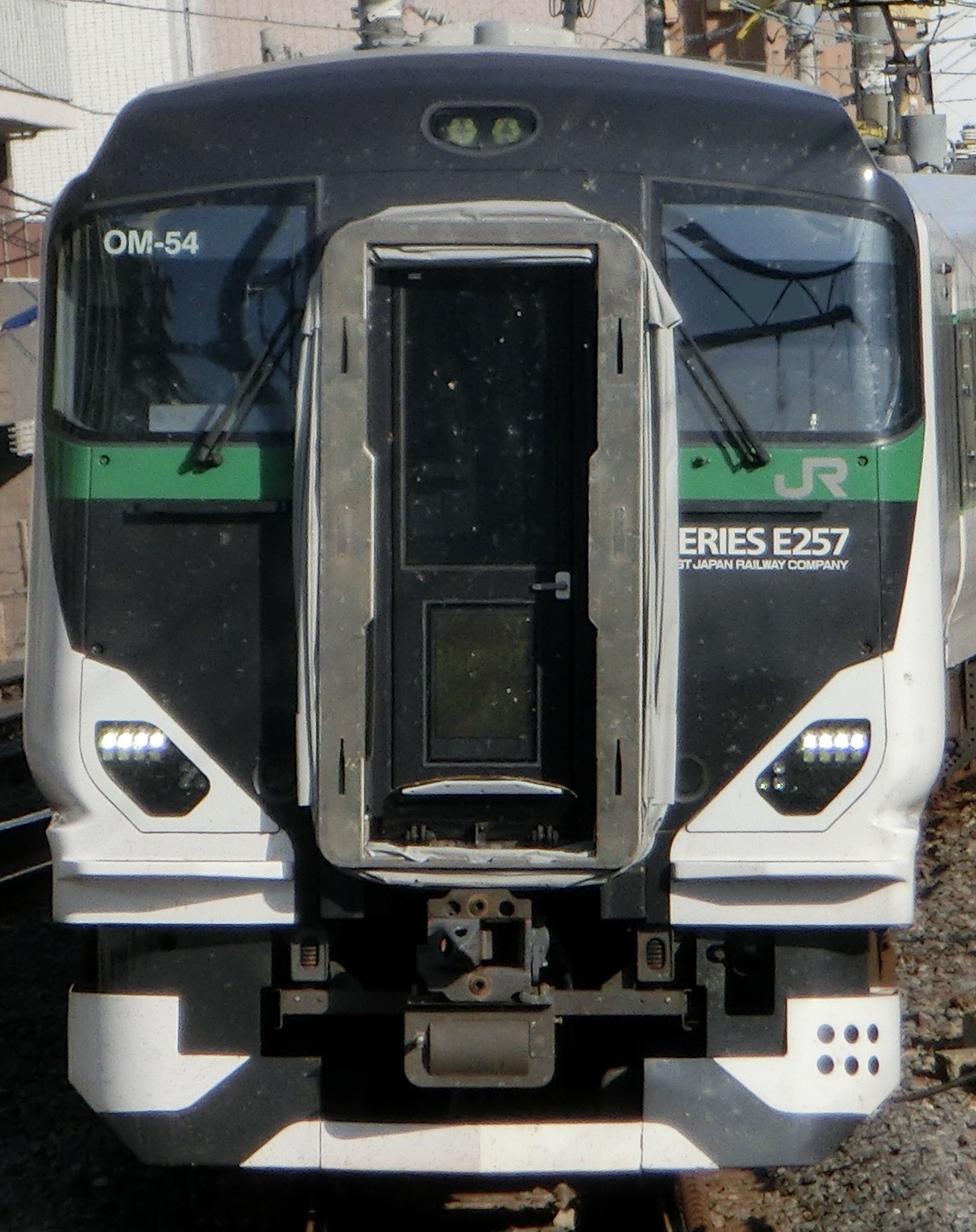 E257-OM54.jpg