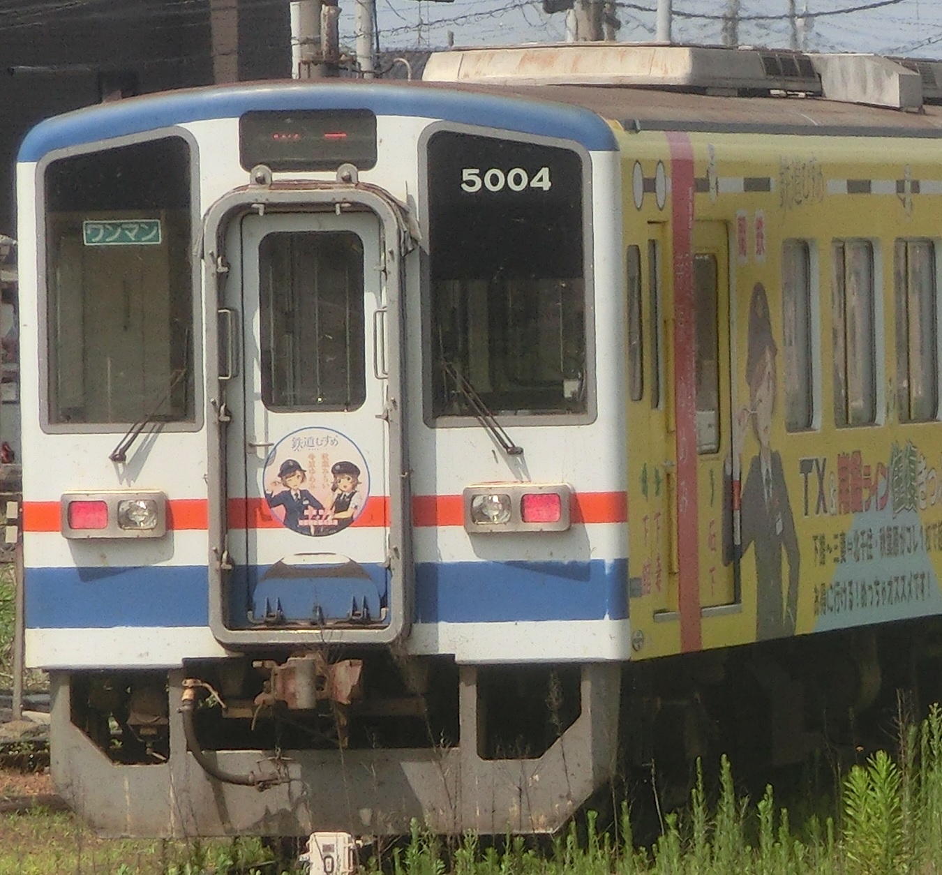 Knto5004-7.jpg