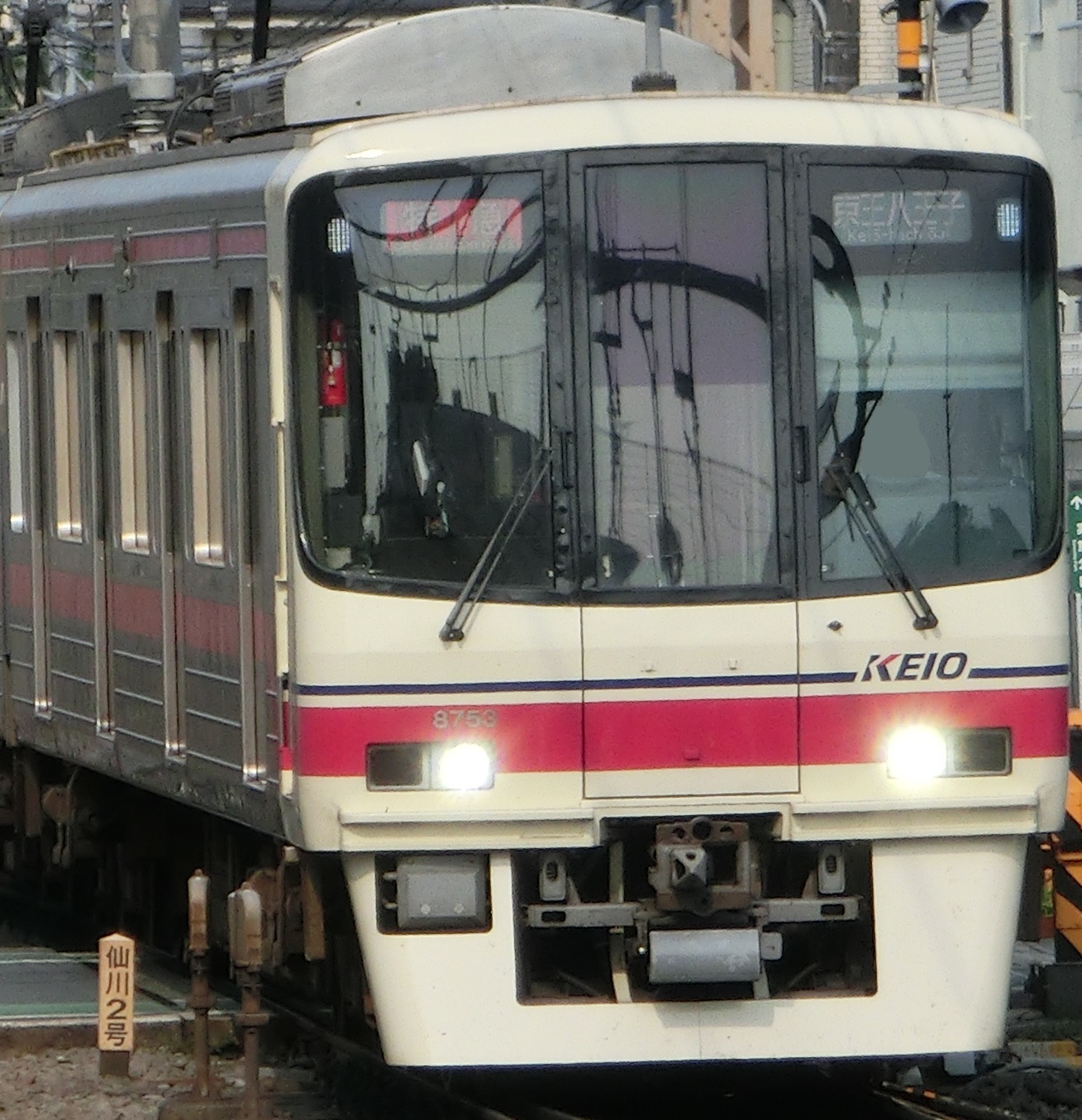 Ko-8703-5.jpg