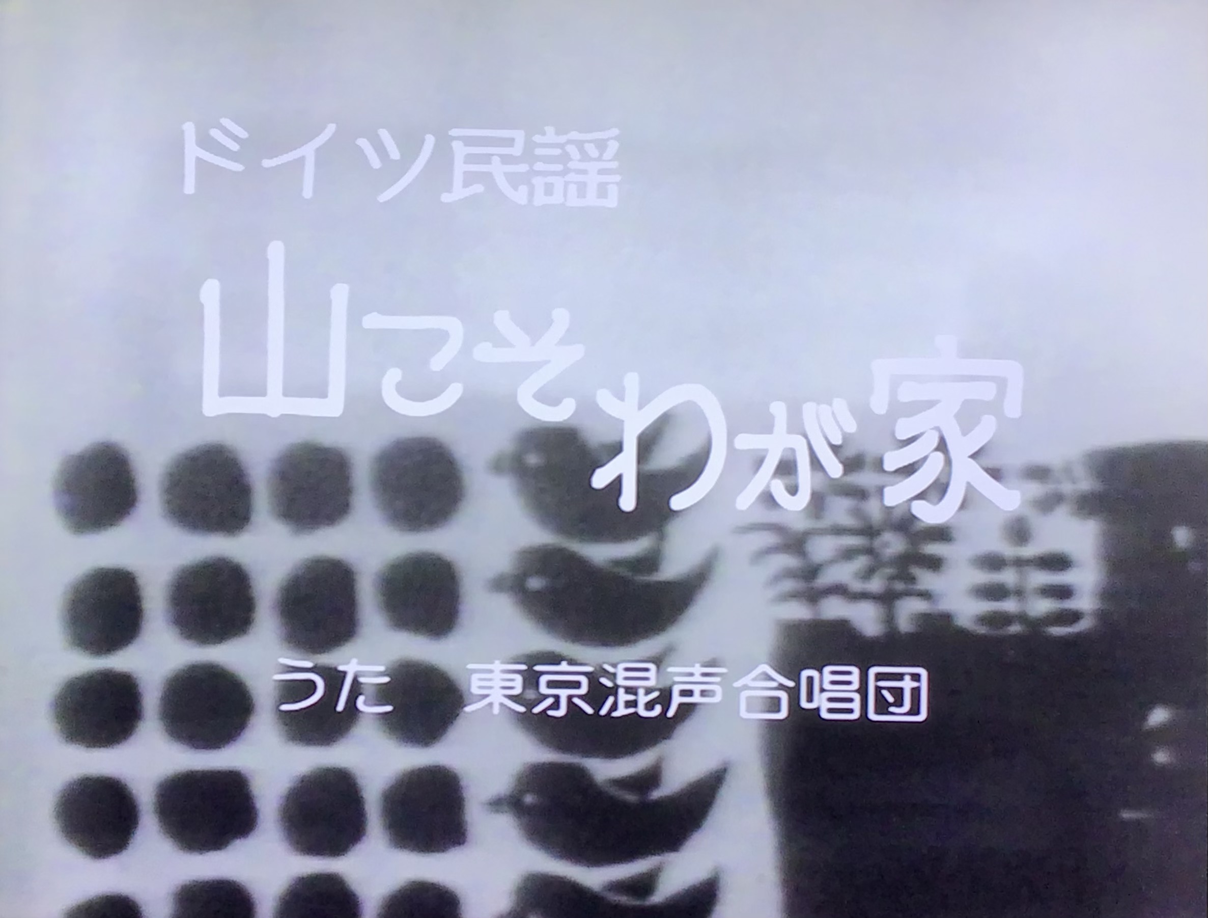 IMG_3643.jpeg