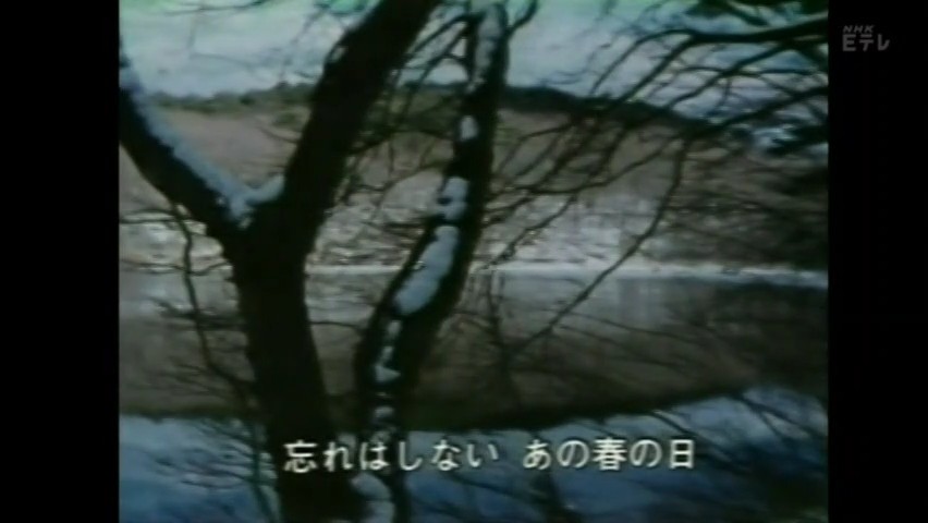 Tsuti (6).jpg