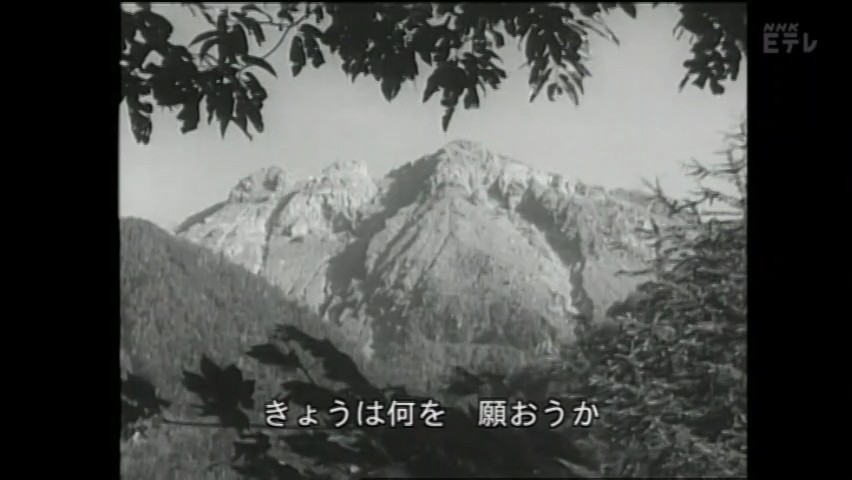 2011年 (2).jpg