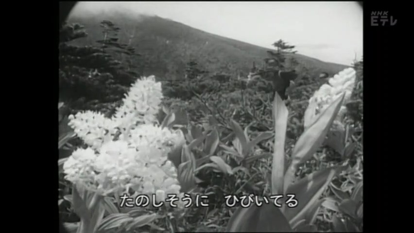 2011年 (3).jpg