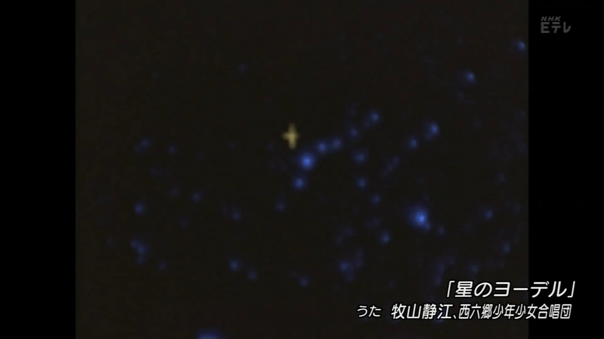 星ヨー (4).jpg