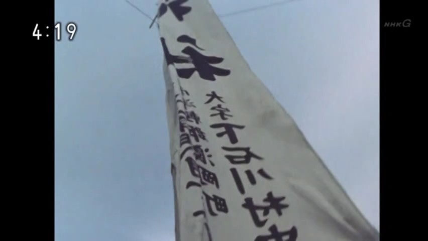 Tsuga (5).jpg