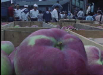 IMG_0564.jpeg
