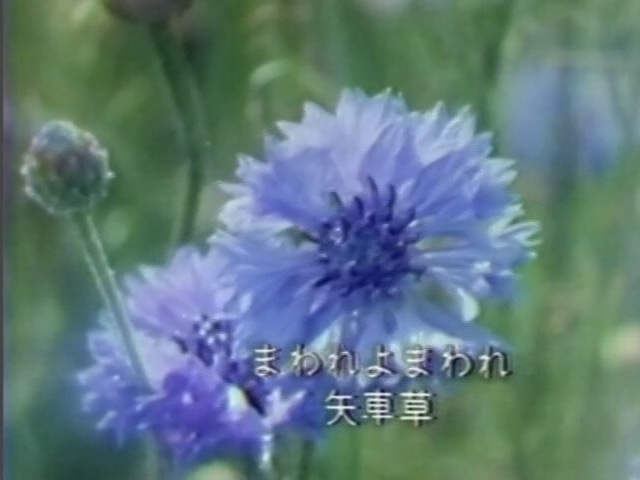 IMG_4008.jpeg