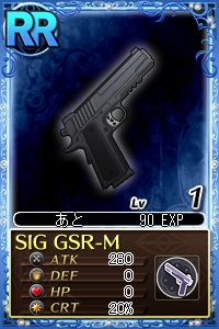 SIGGSR-M.jpg