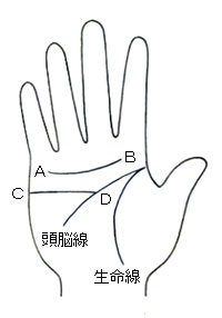 感情線 モイラさんの手相占い Wiki