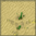 sabaku.png