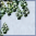 setsugen.png