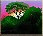 Dawn_of_a_New_Day_I.jpeg