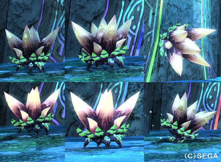 ブルトルボン_0.jpg