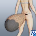 タヌキシッポ.png