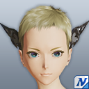 シュヴァルノワールヘアアクセ.png