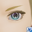 リングライトコンタクト.png