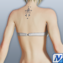 N-シバのタトゥー.png