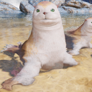 オタリカcp.png