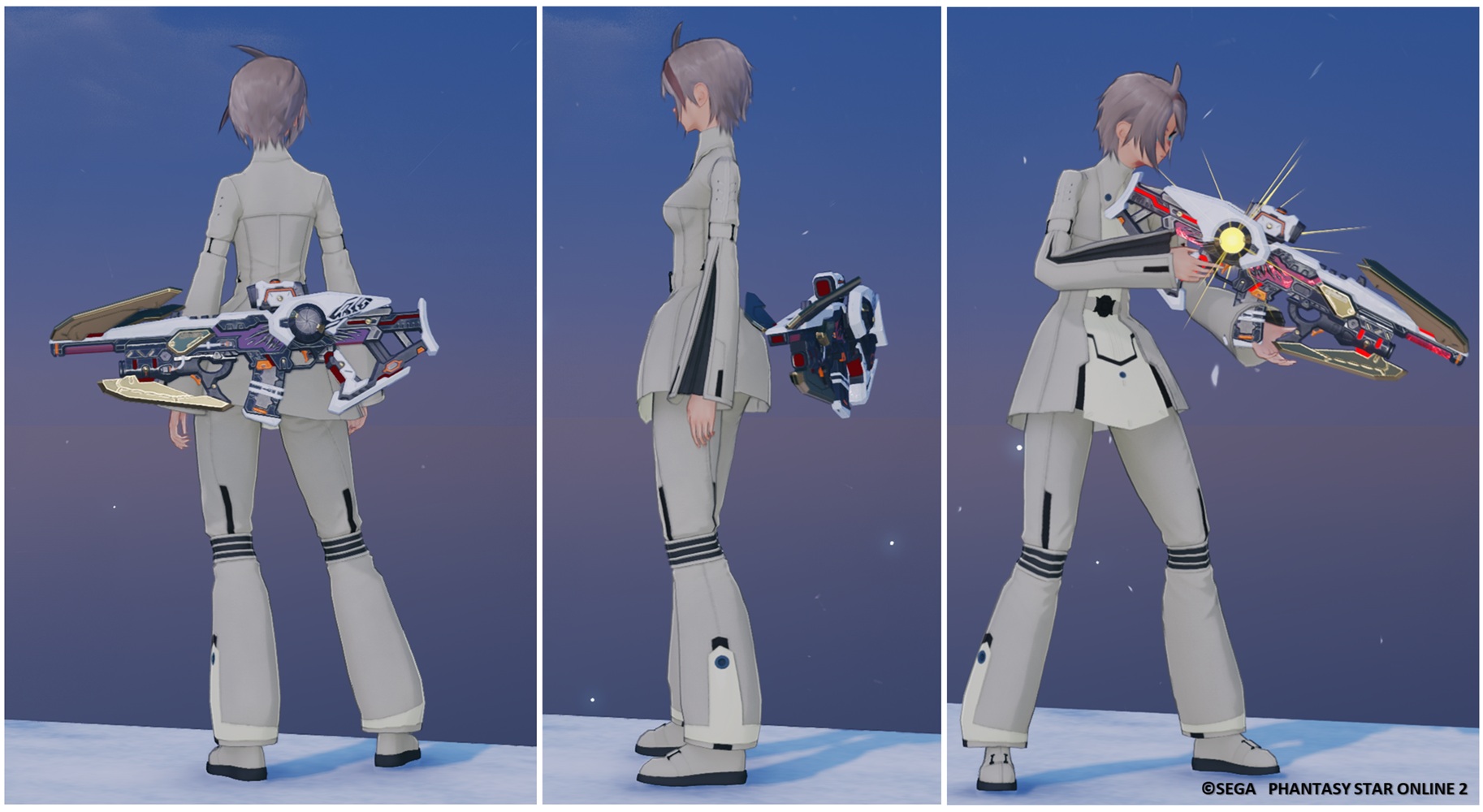 トライセリオライフル（外観.jpg