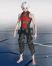 ファンテルネビラV2[Ba].jpg