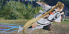 ダッシュ：シノビ2.jpg