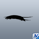 スリムラインまつげB.png
