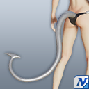 ヴェルルッタのしっぽ.png