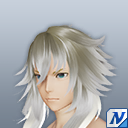 エヴィーザラマンデヘアーB.png