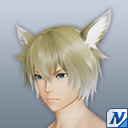 フーシエヘアーB.png