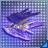 アクロセリオブーツ.png