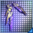 アクロセリオタリス.png