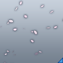 桜吹雪(Ef).png