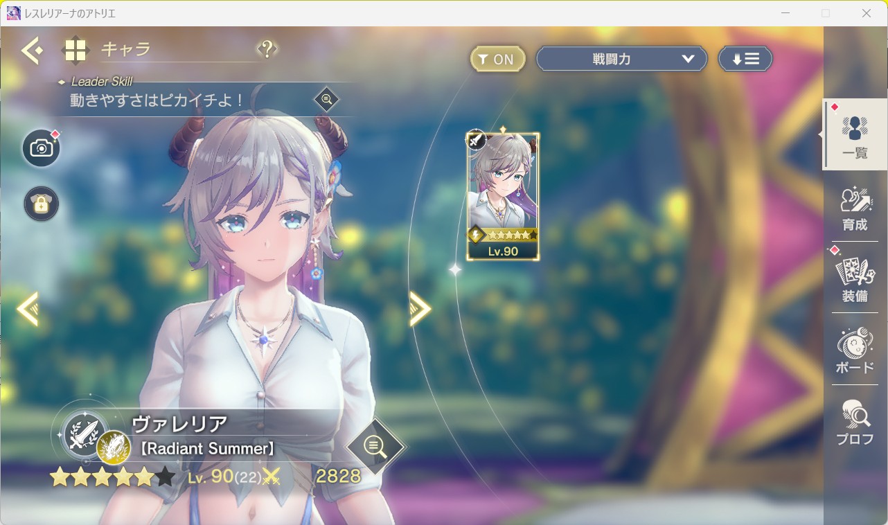 通常スキンのみ.jpg