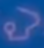 K.png