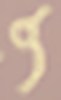 T.png