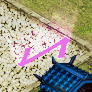 ユル.png