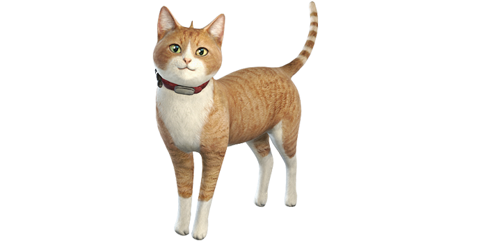 アサルトライフル Lovely Cat Special Force 2 Wiki