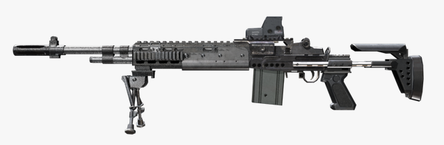 M14 EBR.PNG