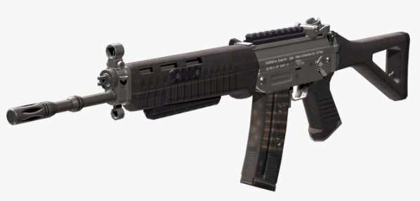 sig551.jpg