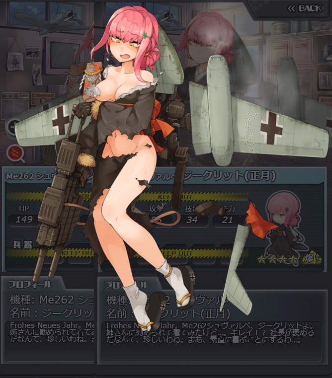 222_damaged.jpg